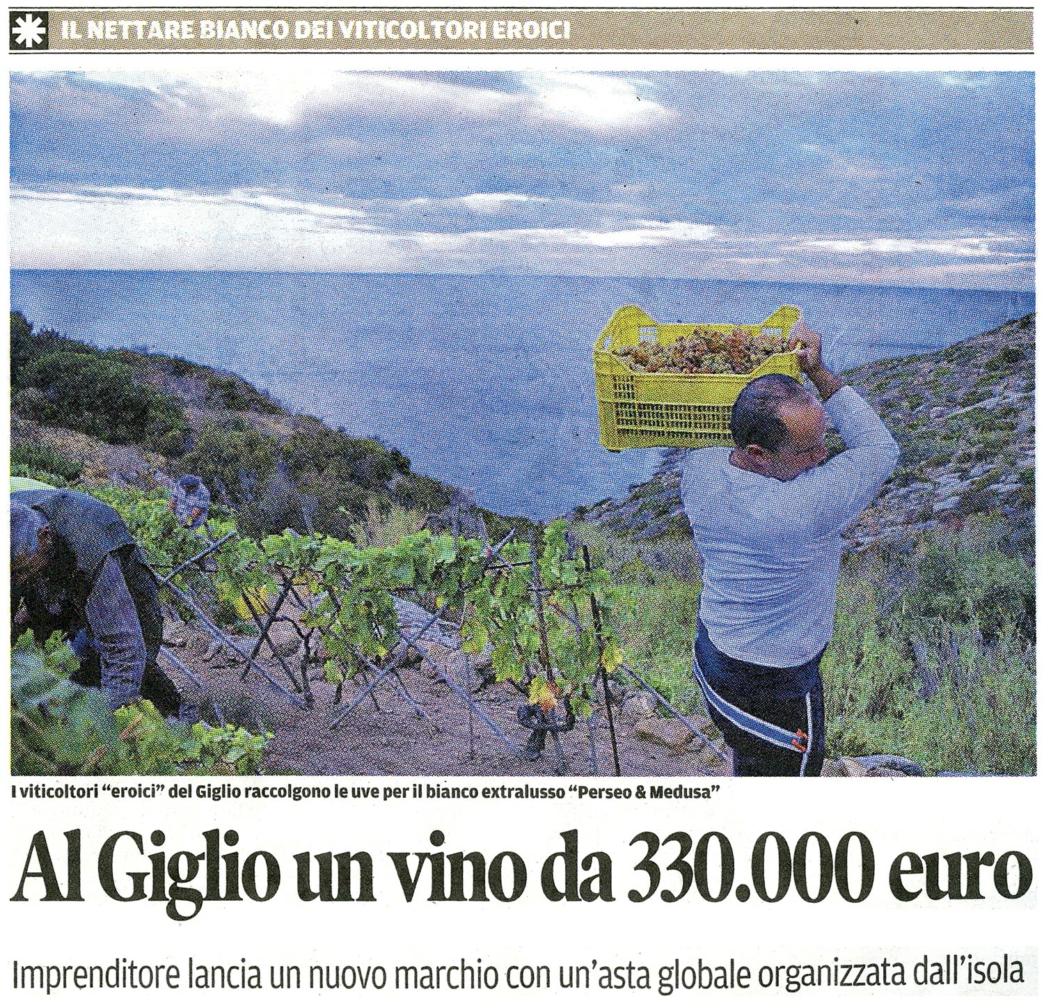 Il Tirreno - Perseo&Medusa, il vino da 330 mila euro